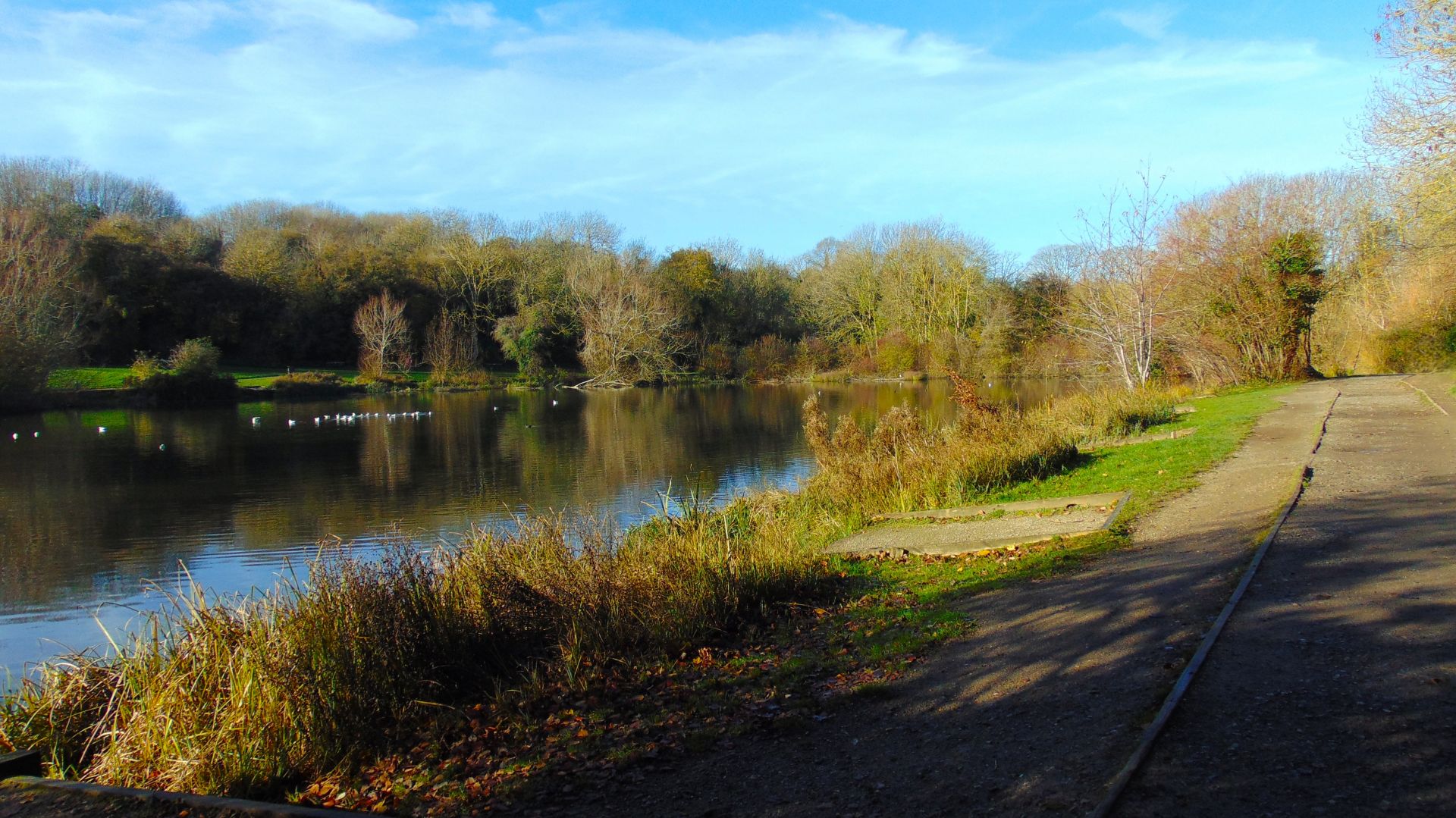 Capstone Country Park Lake